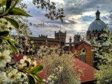 "Social work deontological ethics and its main principlest. The ideal model of application"