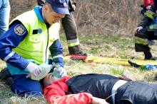 Save the forest together: masters and graduates stopped the fire Save the forest together: masters and graduates stopped the fire