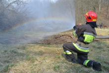 Save the forest together: masters and graduates stopped the fire Save the forest together: masters and graduates stopped the fire