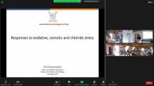 Postgraduate students of LSULS majoring in environmental studies took part in online Bioleaching summer school at Freiberg Mining Academy (Germany, Saxony)